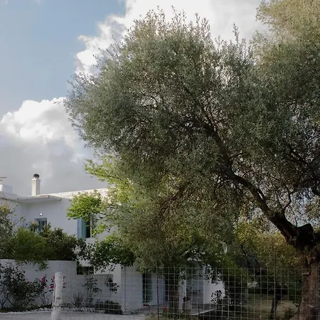 Minos Studio, Kandanos Kantanos
